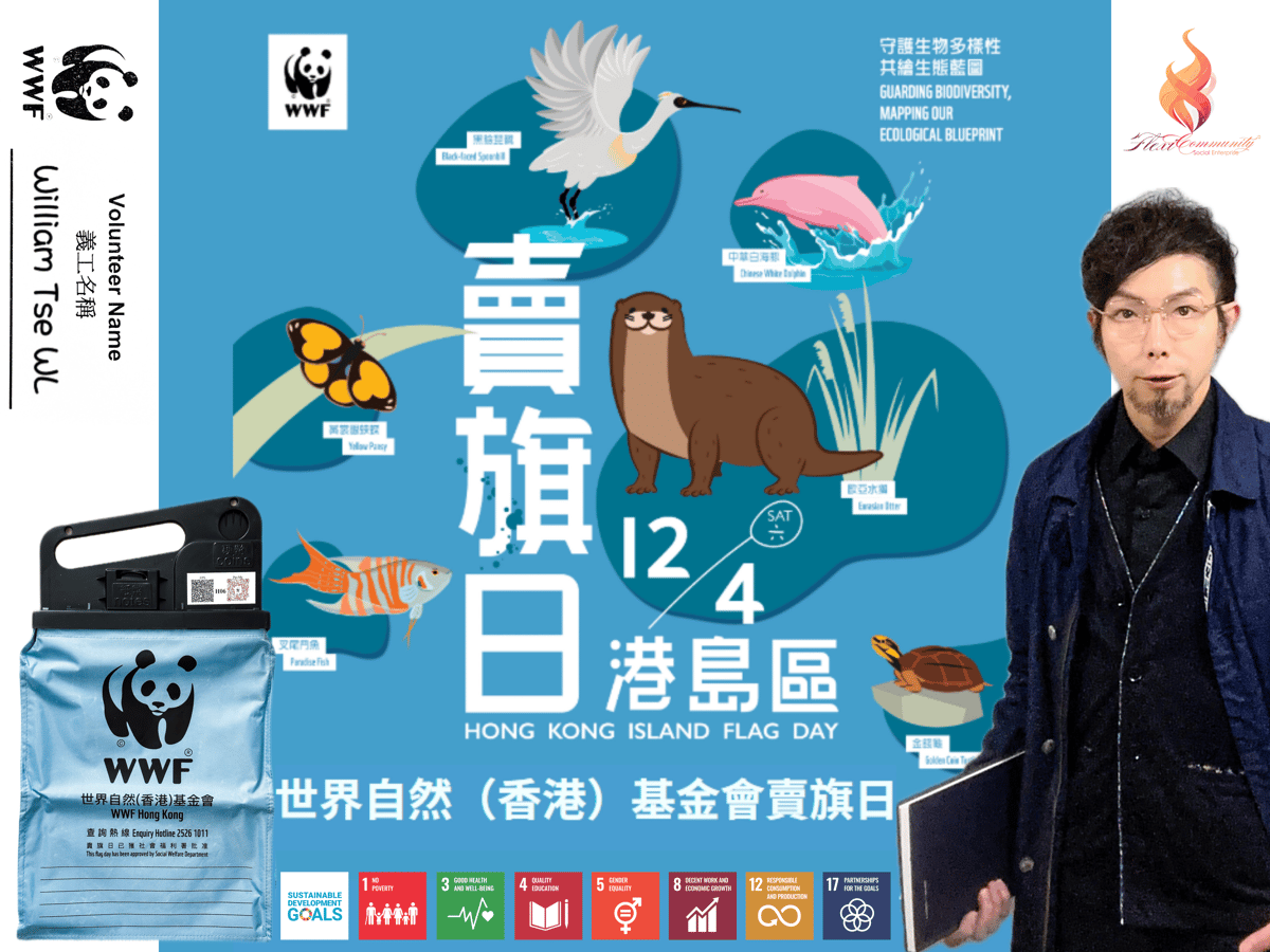 Flag Day WWF_03